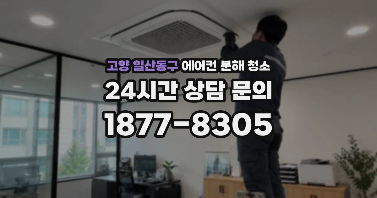 고양 일산동구 에어컨 분해 청소