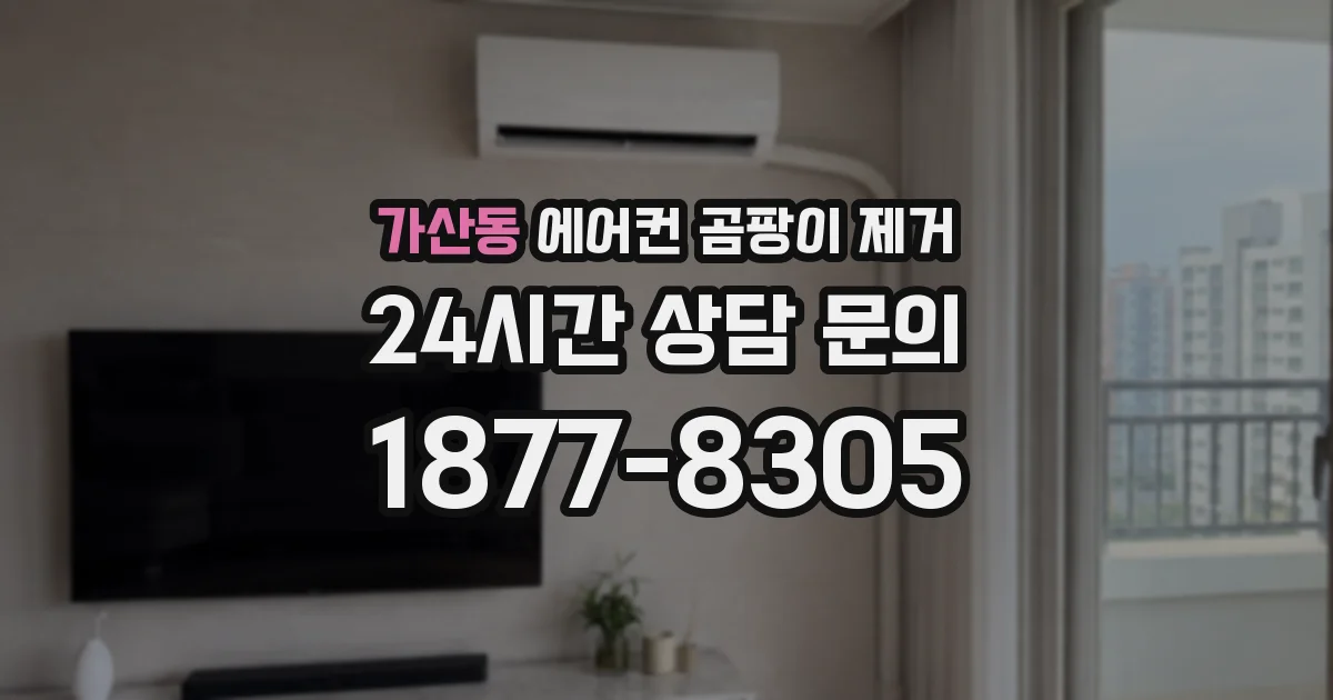 가산동 에어컨 곰팡이 제거