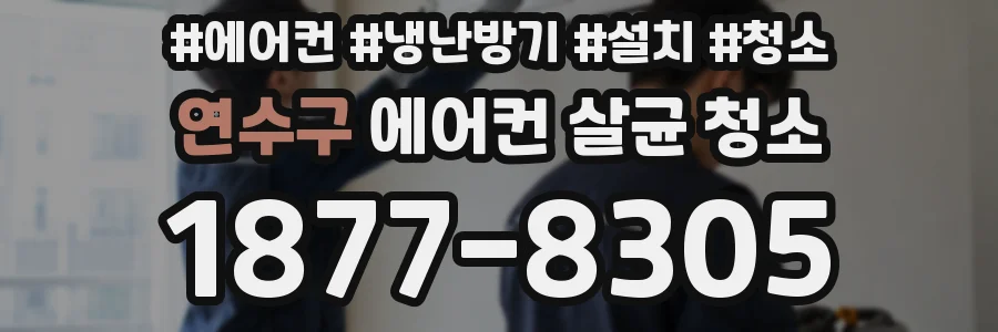 연수구 에어컨 살균 청소