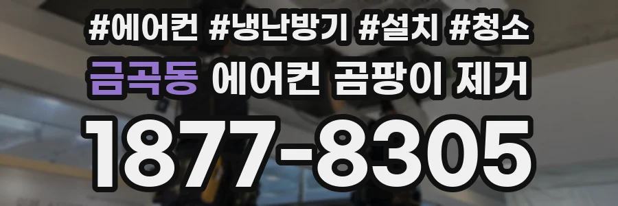 금곡동 에어컨 곰팡이 제거