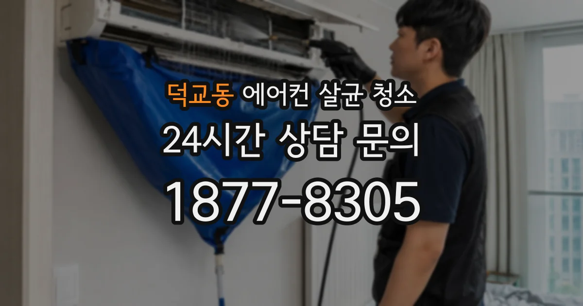 덕교동 에어컨 살균 청소