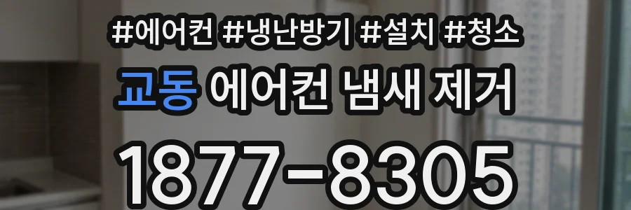 교동 에어컨 냄새 제거