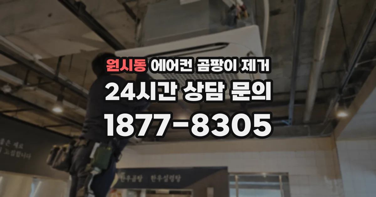 원시동 에어컨 곰팡이 제거