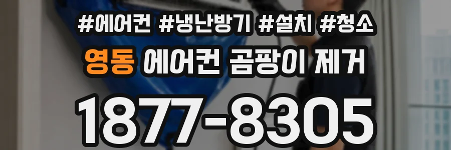 영동 에어컨 곰팡이 제거