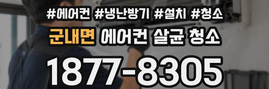 군내면 에어컨 살균 청소