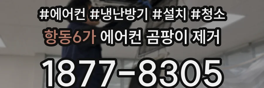 항동6가 에어컨 곰팡이 제거