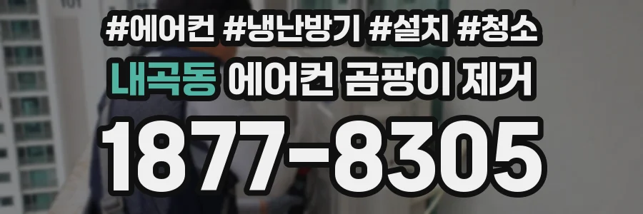 내곡동 에어컨 곰팡이 제거