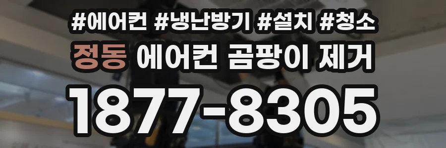 정동 에어컨 곰팡이 제거