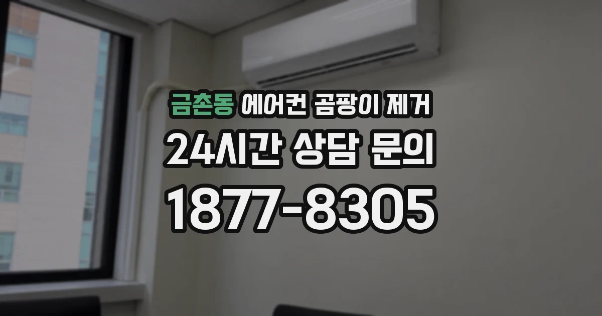금촌동 에어컨 곰팡이 제거