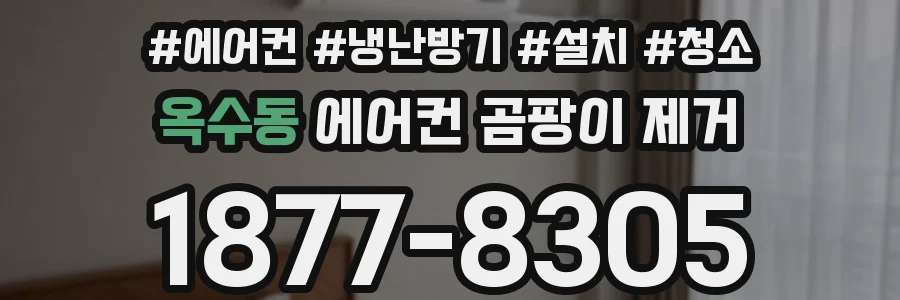 옥수동 에어컨 곰팡이 제거
