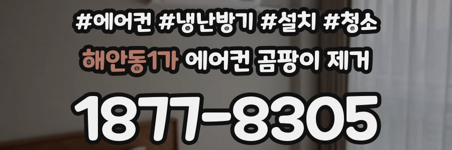 해안동1가 에어컨 곰팡이 제거