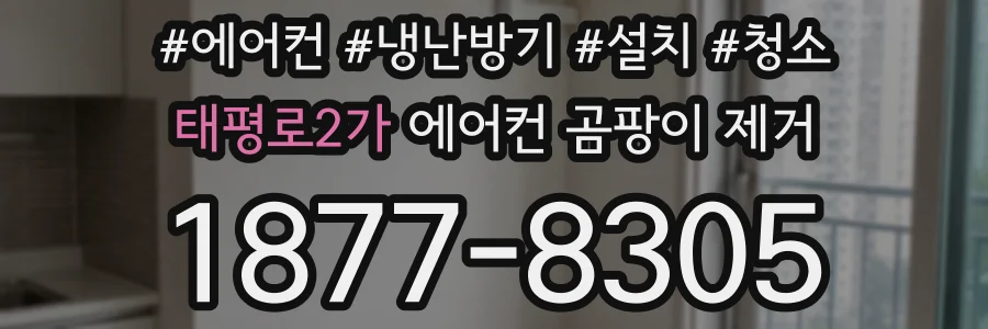 태평로2가 에어컨 곰팡이 제거