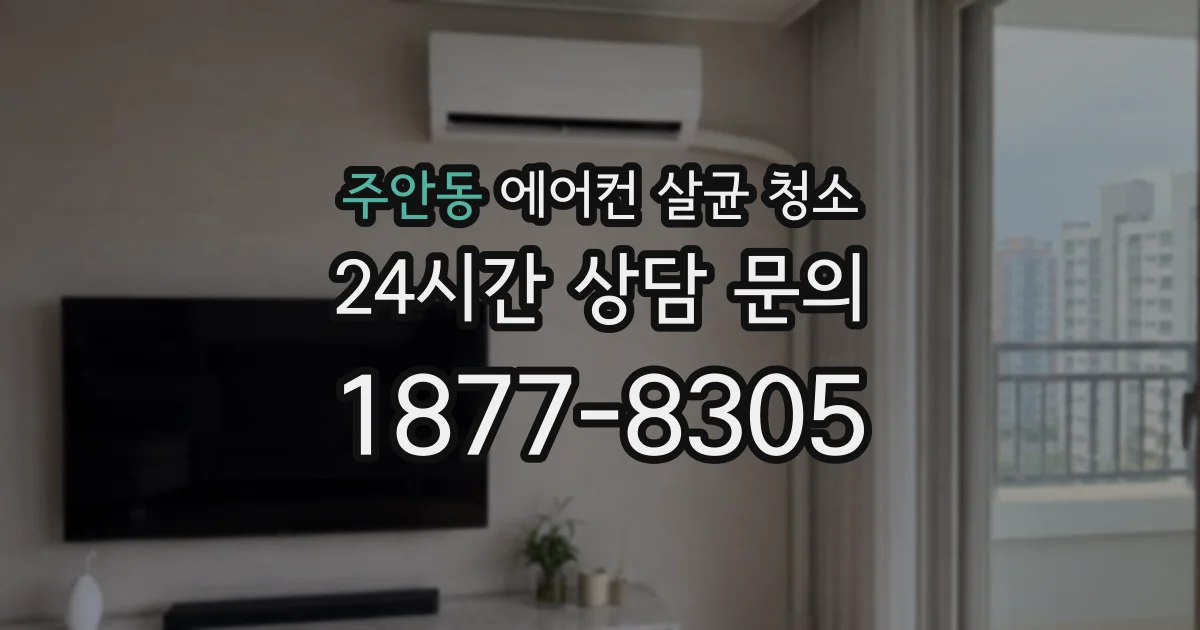 주안동 에어컨 살균 청소