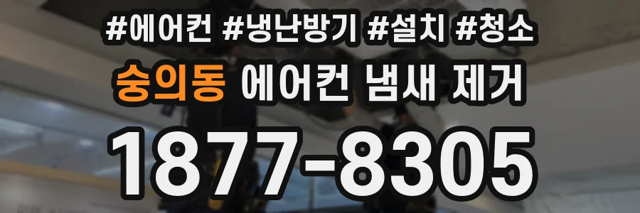 숭의동 에어컨 냄새 제거