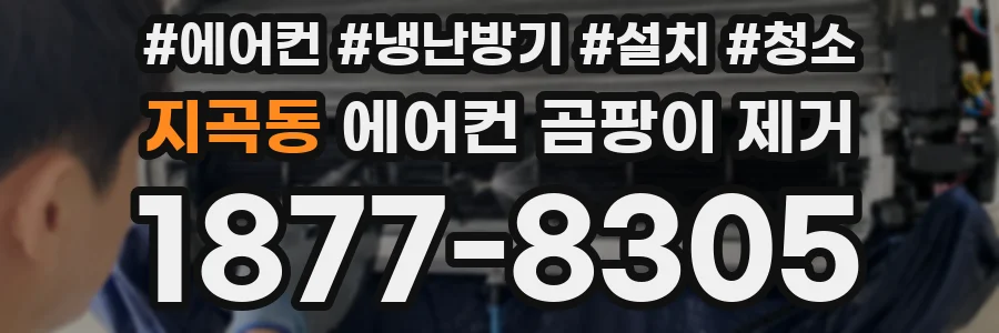 지곡동 에어컨 곰팡이 제거