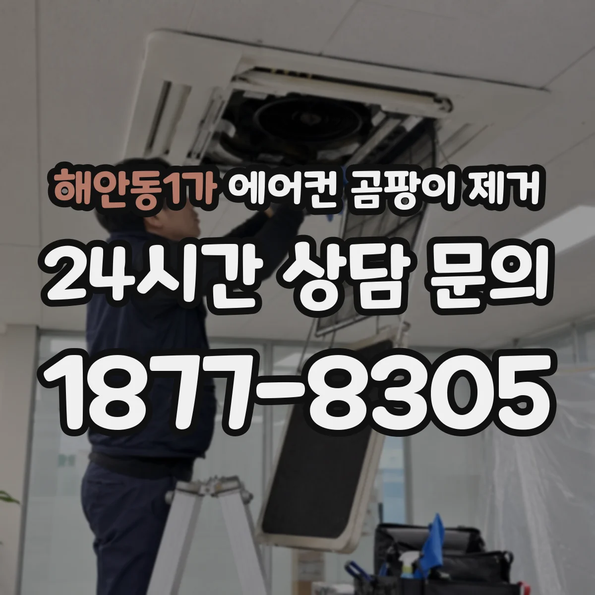 해안동1가 에어컨 곰팡이 제거