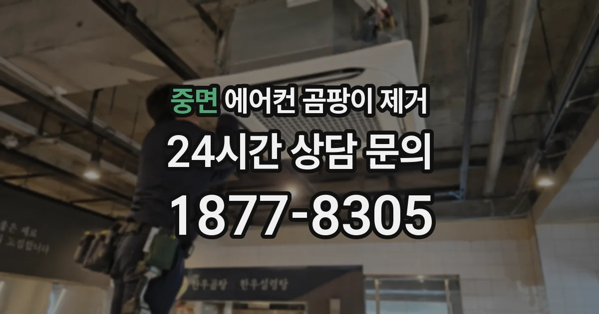 중면 에어컨 곰팡이 제거
