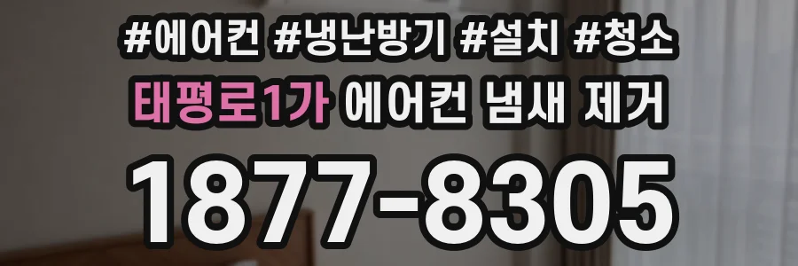 태평로1가 에어컨 냄새 제거