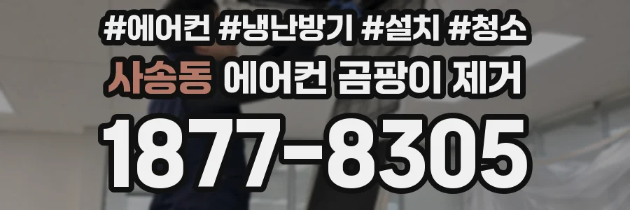 사송동 에어컨 곰팡이 제거