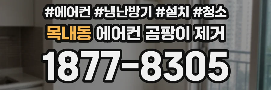 목내동 에어컨 곰팡이 제거