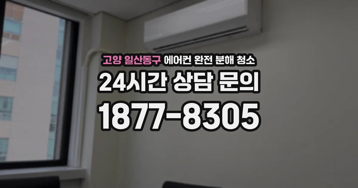 고양 일산동구 에어컨 완전 분해 청소