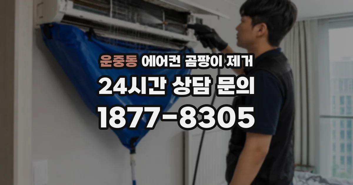 운중동 에어컨 곰팡이 제거