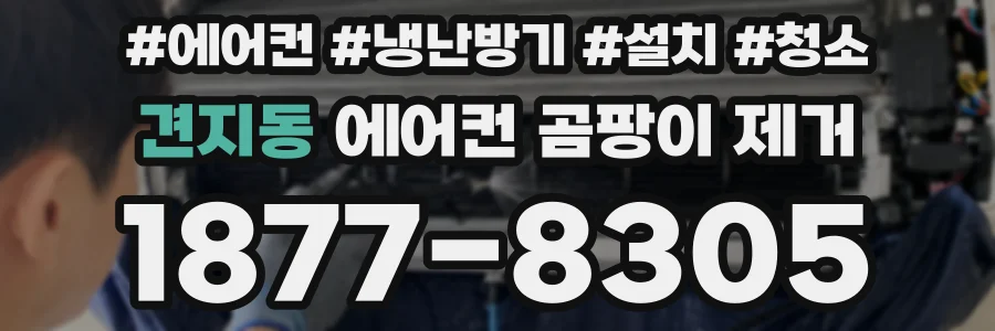 견지동 에어컨 곰팡이 제거