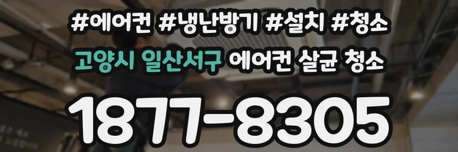 고양시 일산서구 에어컨 살균 청소