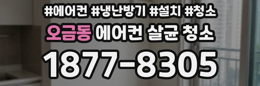 오금동 에어컨 살균 청소