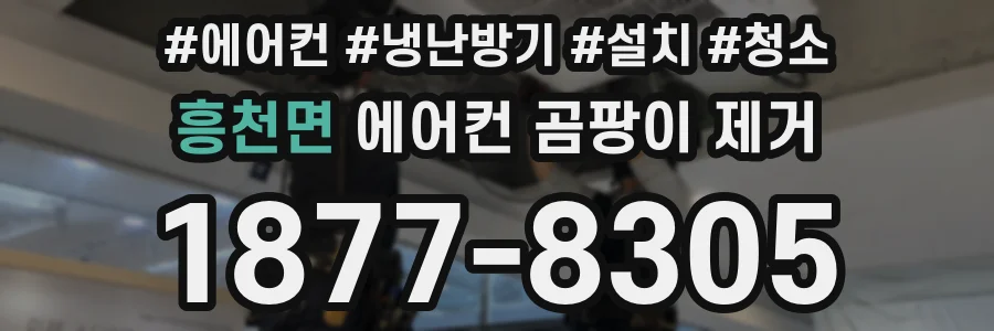 흥천면 에어컨 곰팡이 제거