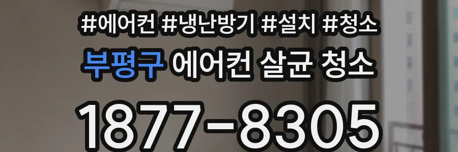 부평구 에어컨 살균 청소