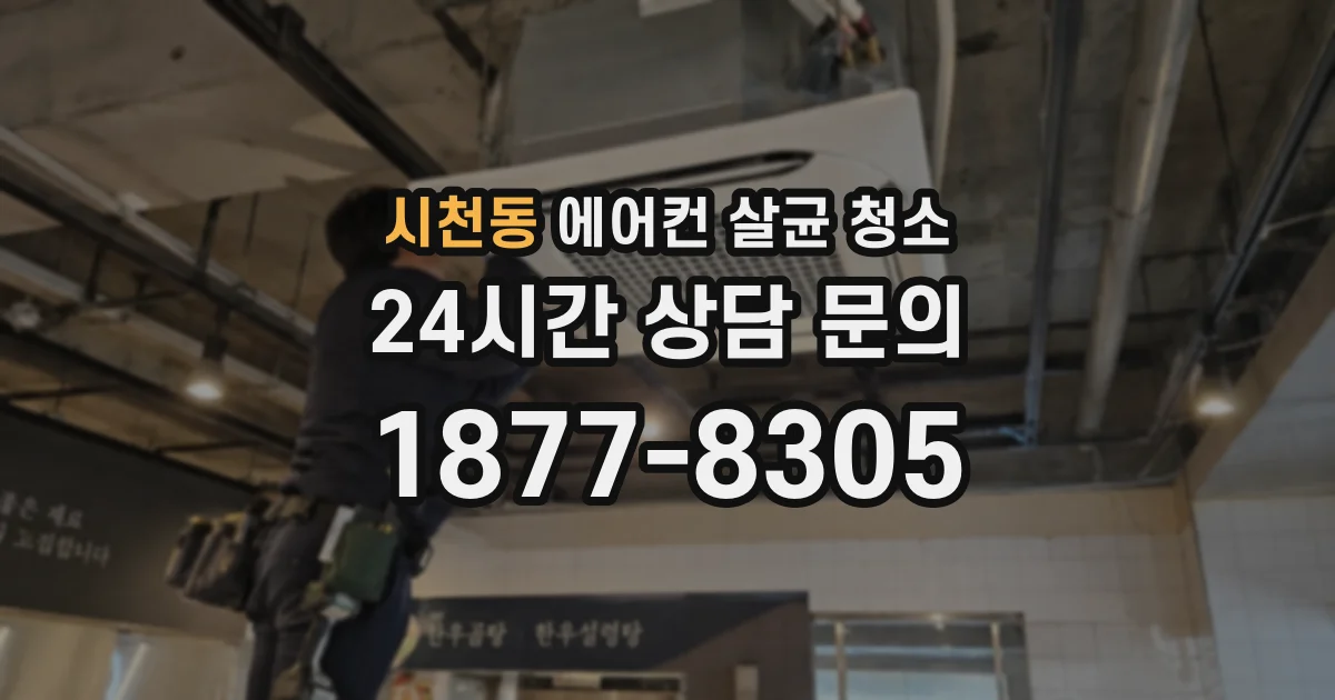 시천동 에어컨 살균 청소