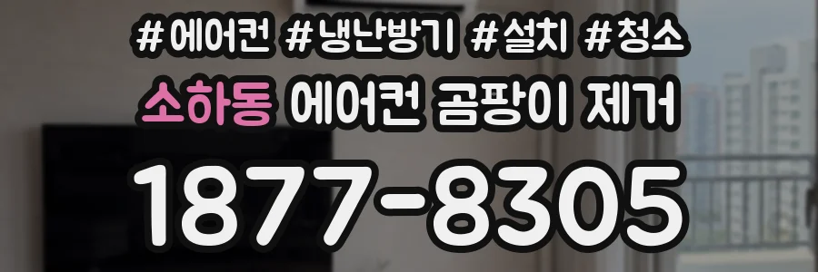 소하동 에어컨 곰팡이 제거