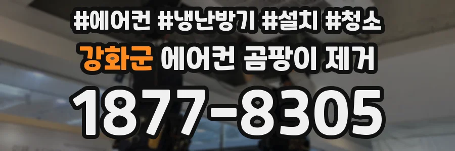 강화군 에어컨 곰팡이 제거