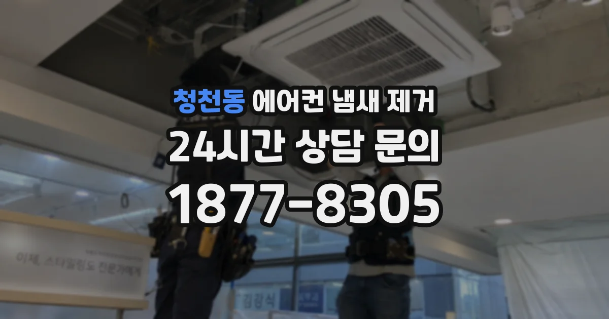 청천동 에어컨 냄새 제거