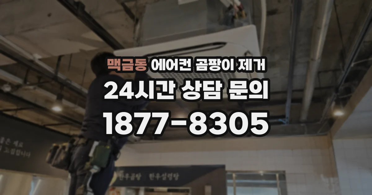 맥금동 에어컨 곰팡이 제거