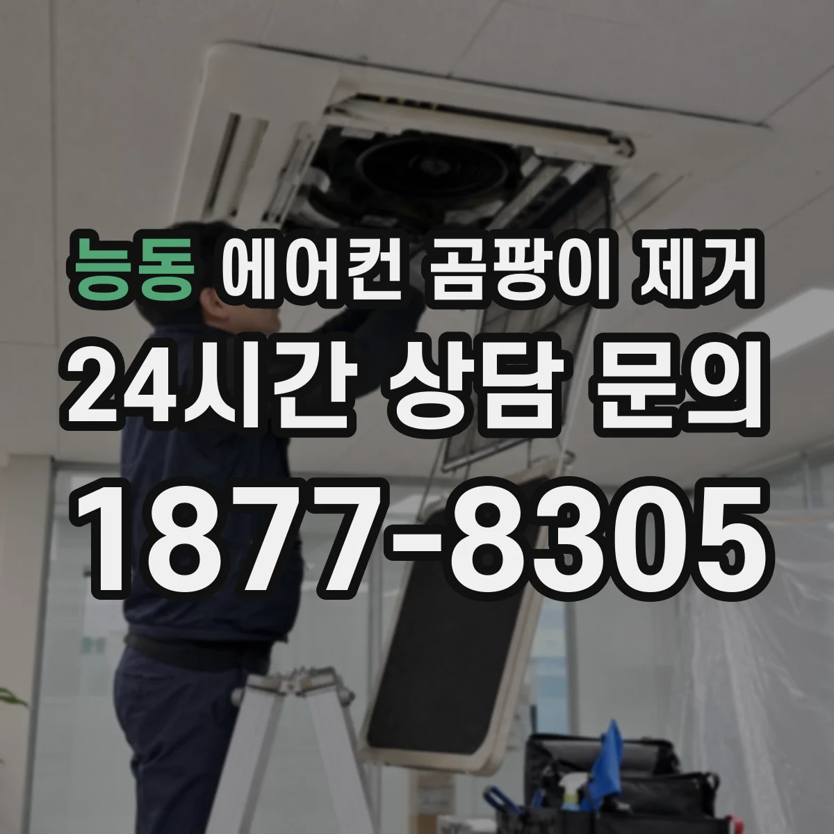 능동 에어컨 곰팡이 제거