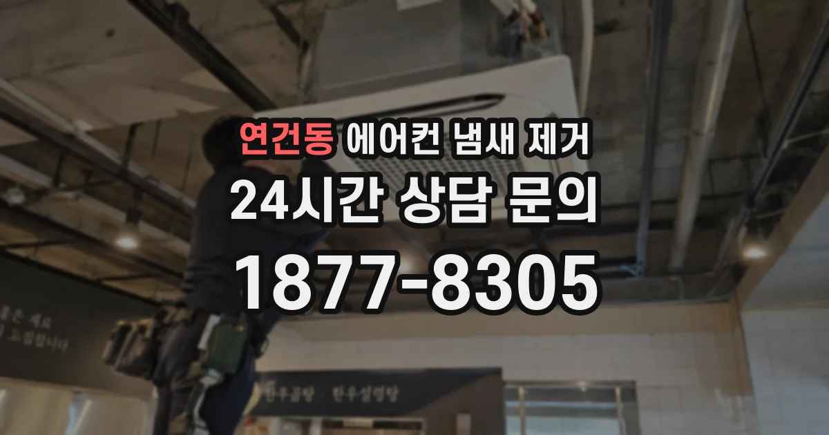 연건동 에어컨 냄새 제거