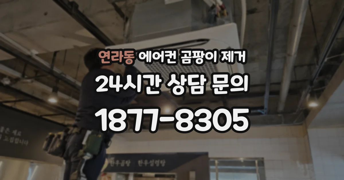 연라동 에어컨 곰팡이 제거