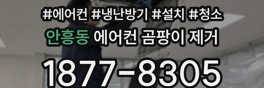 안흥동 에어컨 곰팡이 제거