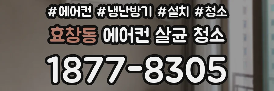 효창동 에어컨 살균 청소
