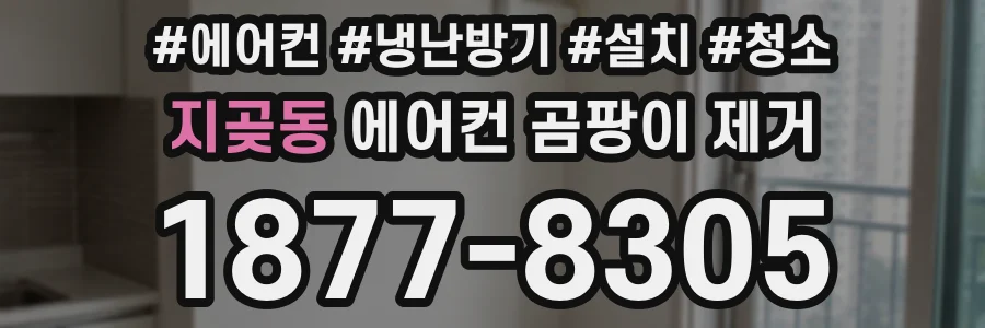 지곶동 에어컨 곰팡이 제거