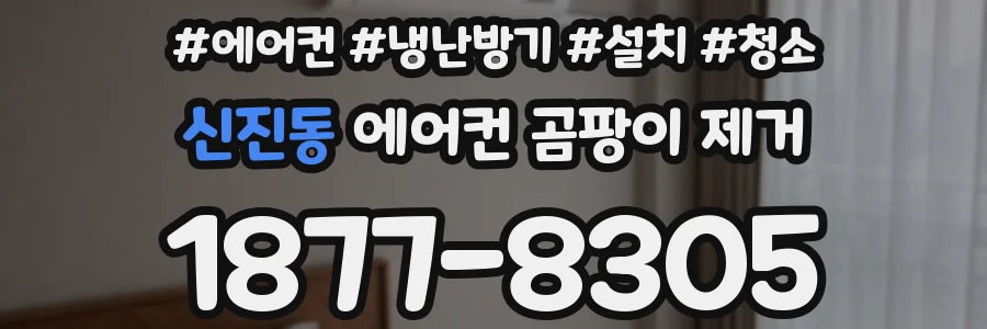 신진동 에어컨 곰팡이 제거