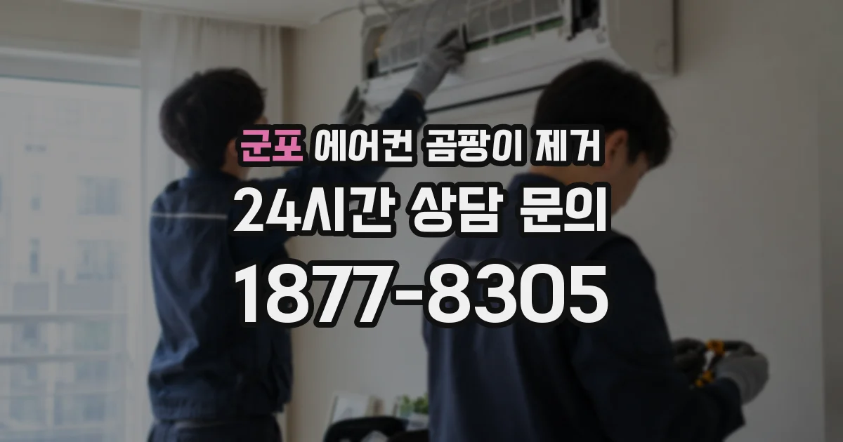 군포 에어컨 곰팡이 제거