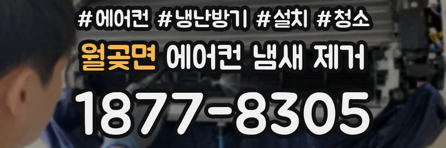 월곶면 에어컨 냄새 제거