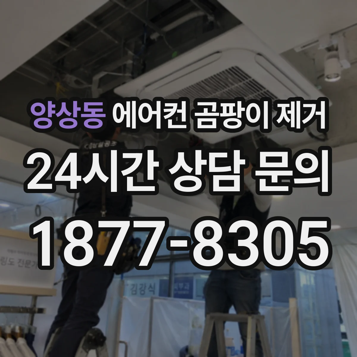 양상동 에어컨 곰팡이 제거