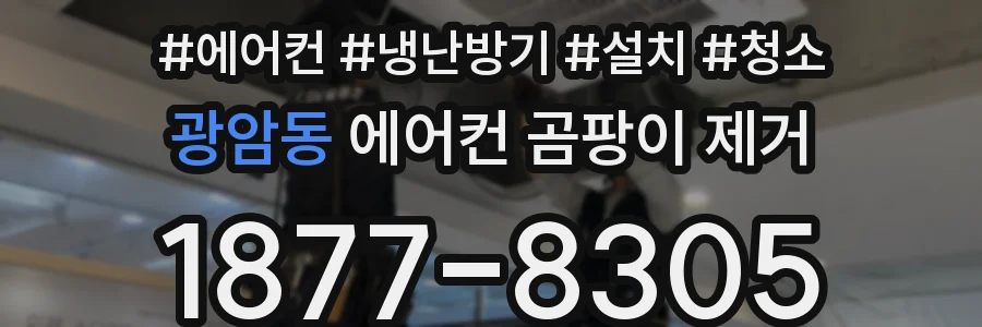 광암동 에어컨 곰팡이 제거