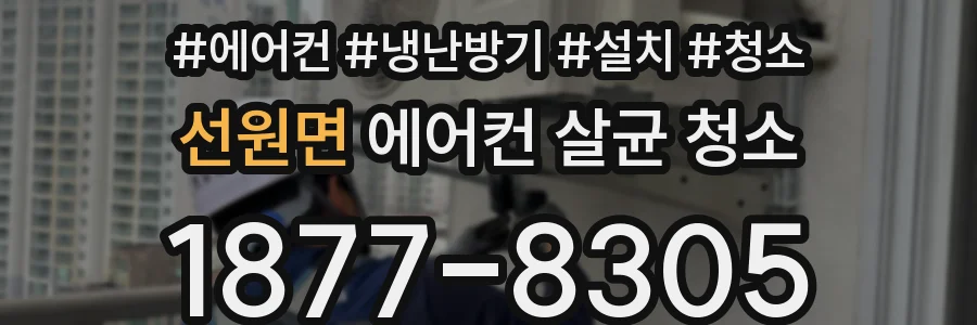 선원면 에어컨 살균 청소