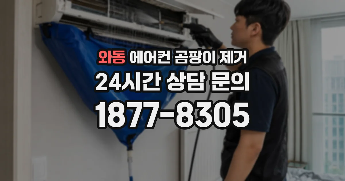 와동 에어컨 곰팡이 제거