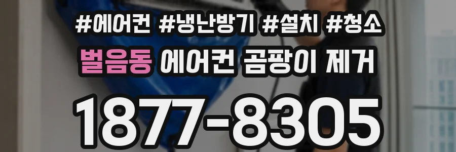 벌음동 에어컨 곰팡이 제거